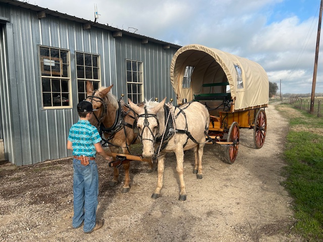 custom trail ride wagon